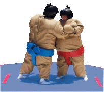 Sumo Suits Deluxe Sumo Suits Deluxe