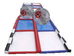 Hamster Drag Racing Hamster Drag Racing