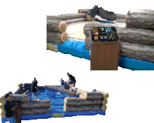 Redneck Games & Mechanical Bull Combo Redneck Games & Mechanical Bull Combo